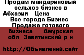 Продам мандариновый сельхоз-бизнес в Абхазии › Цена ­ 1 000 000 - Все города Бизнес » Продажа готового бизнеса   . Амурская обл.,Завитинский р-н